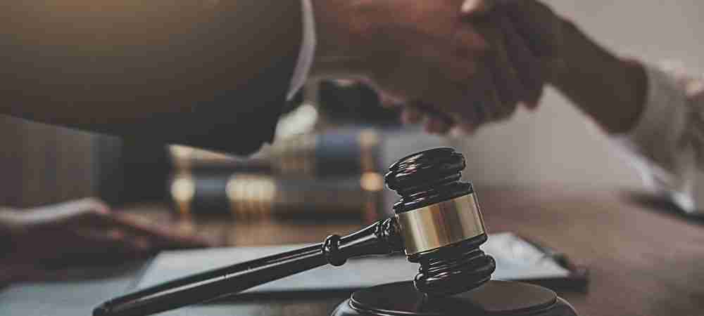 How an Animal Attorney Can Help