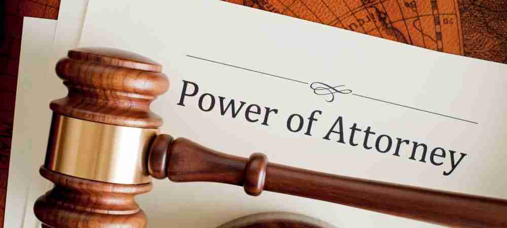 The Importance of Hiring an Animal Attorney